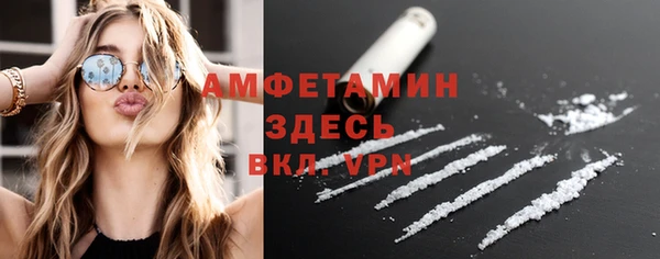 дживик Горняк