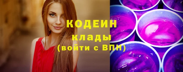 ПСИЛОЦИБИНОВЫЕ ГРИБЫ Вяземский