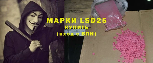 ПСИЛОЦИБИНОВЫЕ ГРИБЫ Вяземский