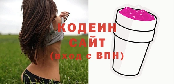 ПСИЛОЦИБИНОВЫЕ ГРИБЫ Вяземский