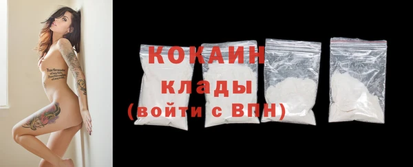 дживик Горняк