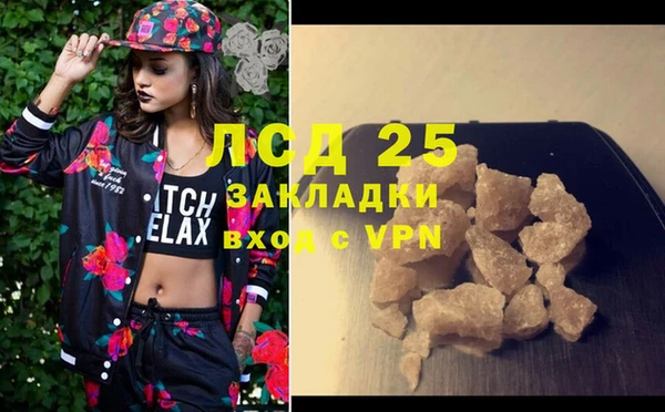 ПСИЛОЦИБИНОВЫЕ ГРИБЫ Вяземский