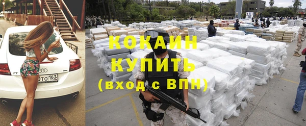 ПСИЛОЦИБИНОВЫЕ ГРИБЫ Вяземский