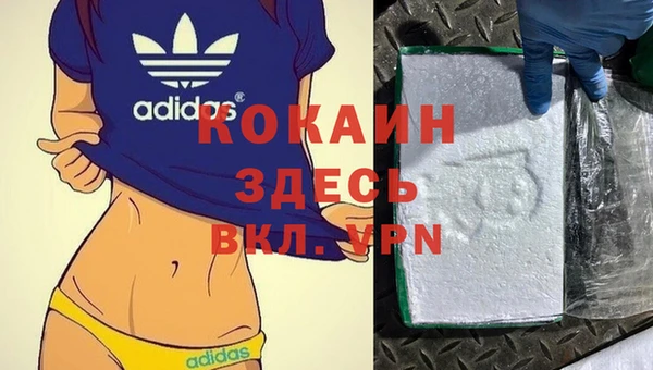 шишки Горно-Алтайск