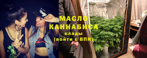 шишки Горно-Алтайск
