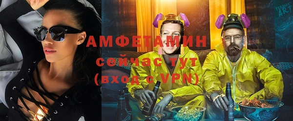шишки Горно-Алтайск