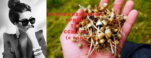 мет Вязники