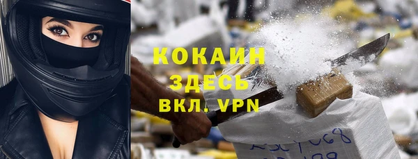 ПСИЛОЦИБИНОВЫЕ ГРИБЫ Вяземский