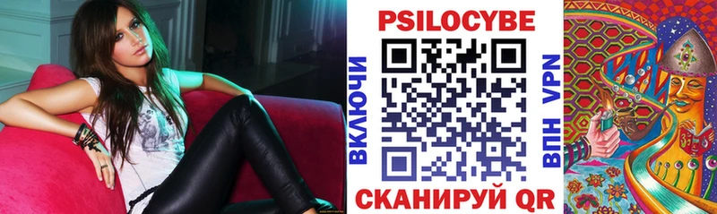 Купить закладки  Кыштым  Псилоцибиновые грибы мухоморы 